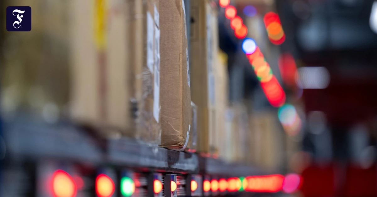 Handel fordert Kontrollen von Plattformen wie Shein