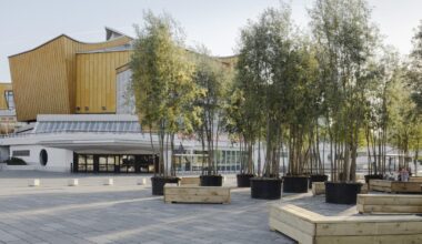 Diese Bäume wachsen jetzt am Berliner Stadtrand