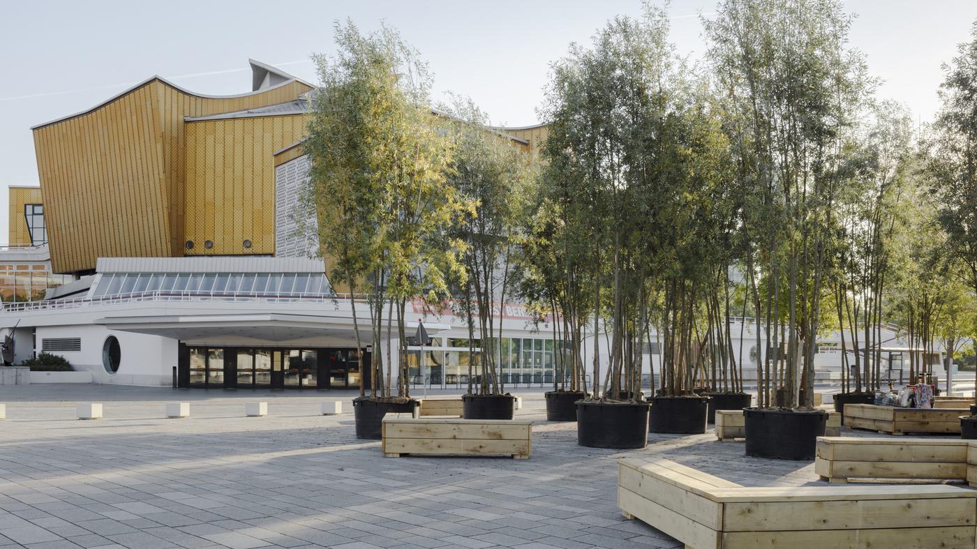 Diese Bäume wachsen jetzt am Berliner Stadtrand