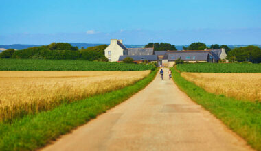 Gesetz gegen Flächenverbrauch: Landwirte fürchten Wertverlust ihrer Grundstücke