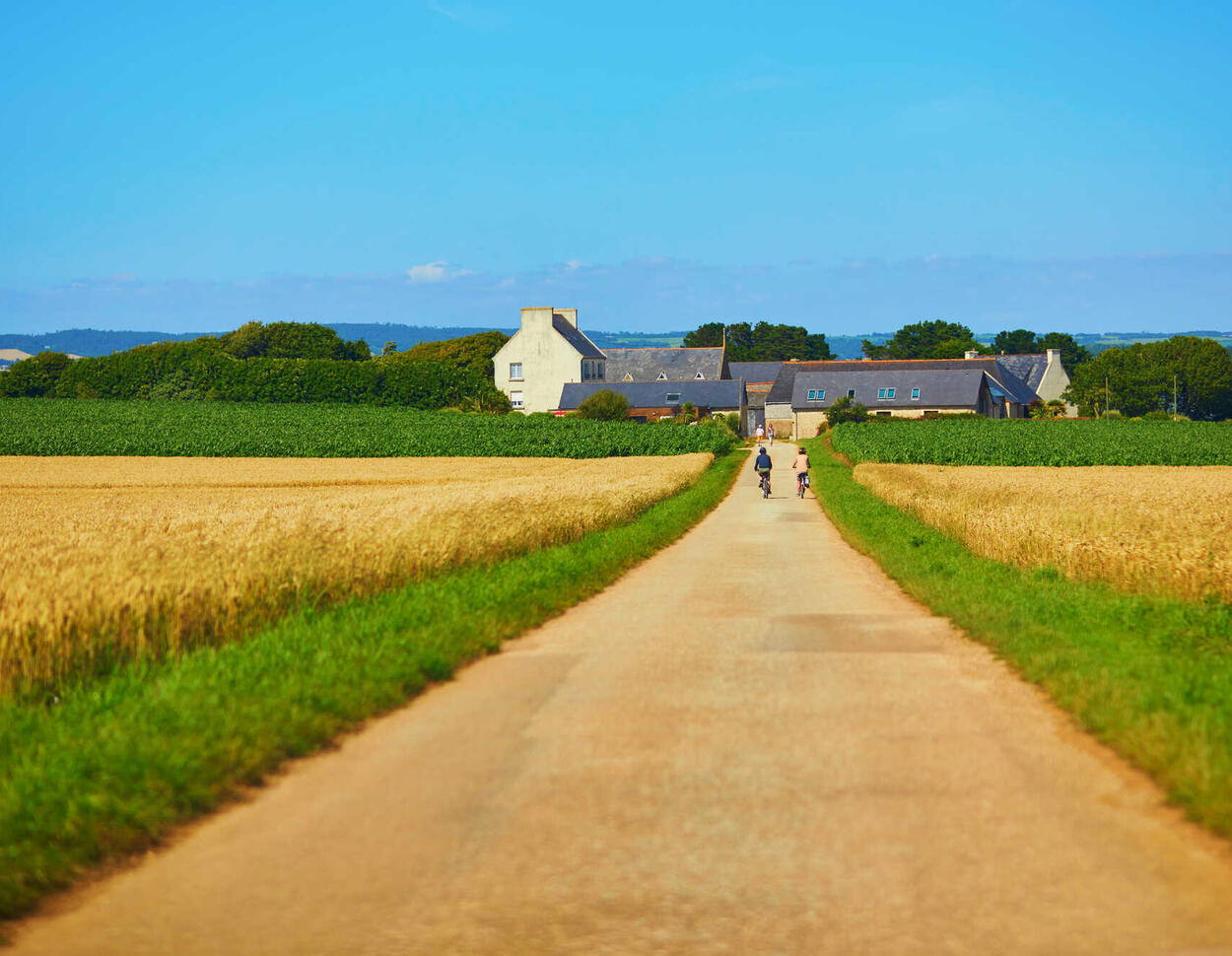 Gesetz gegen Flächenverbrauch: Landwirte fürchten Wertverlust ihrer Grundstücke
