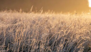 Wintereinbruch in SH? Das sagt Wetterexperte Sebastian Wache