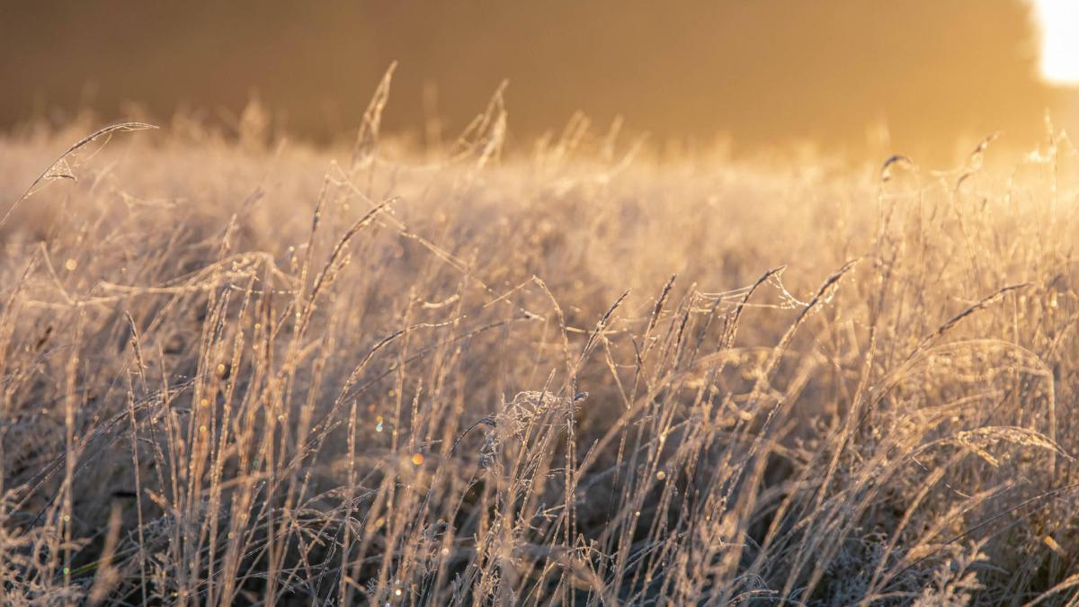 Wintereinbruch in SH? Das sagt Wetterexperte Sebastian Wache