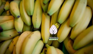 Augsburg checkt's: Lebensmittel unterliegen strengen Richtlienen