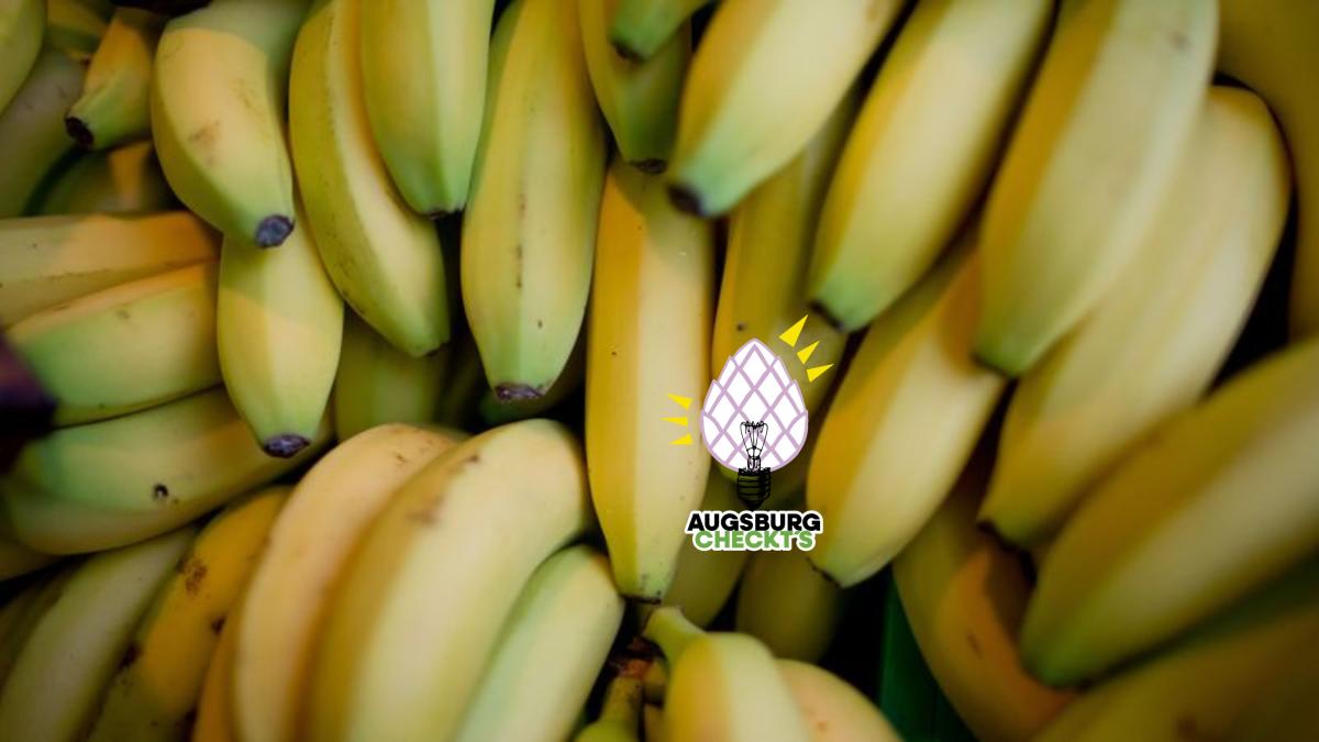 Augsburg checkt's: Lebensmittel unterliegen strengen Richtlienen