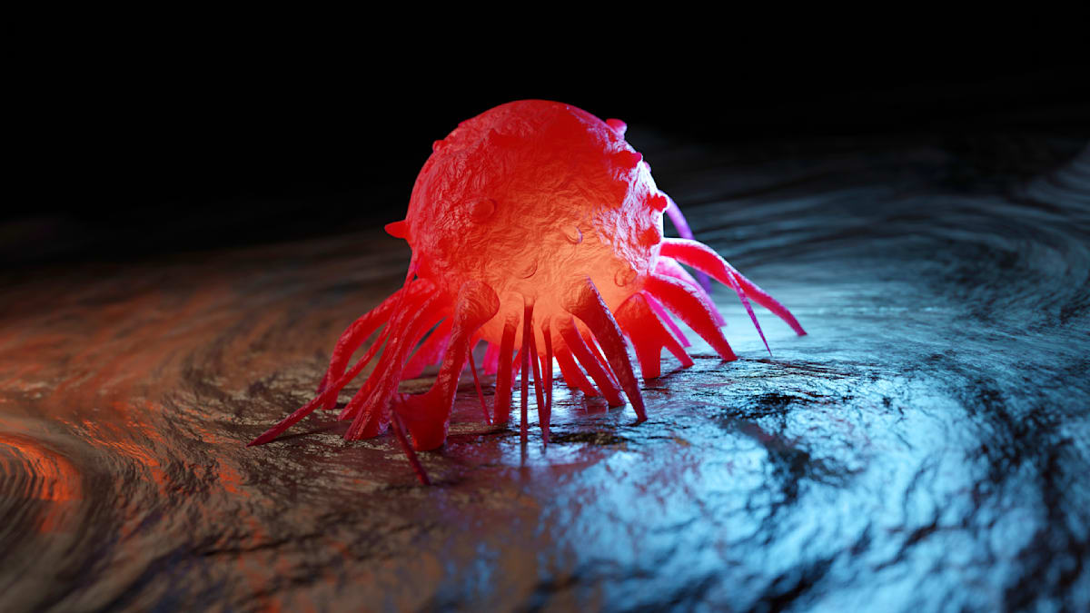 Krebs: „Bei einigen Tumorarten ist es faktisch Realität, dass man nicht mehr sterben muss“