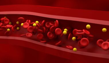 Fasten: Früh oder spät essen? Wie der Zeitpunkt den Fettstoffwechsel beeinflusst
