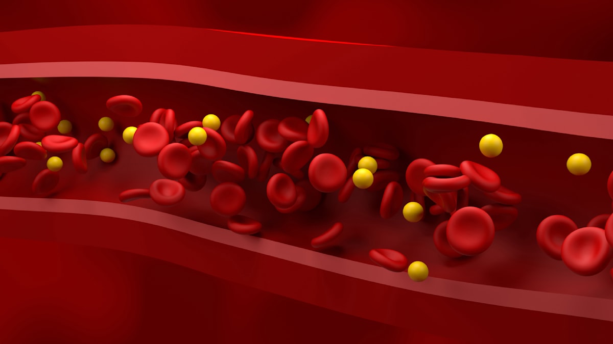 Fasten: Früh oder spät essen? Wie der Zeitpunkt den Fettstoffwechsel beeinflusst