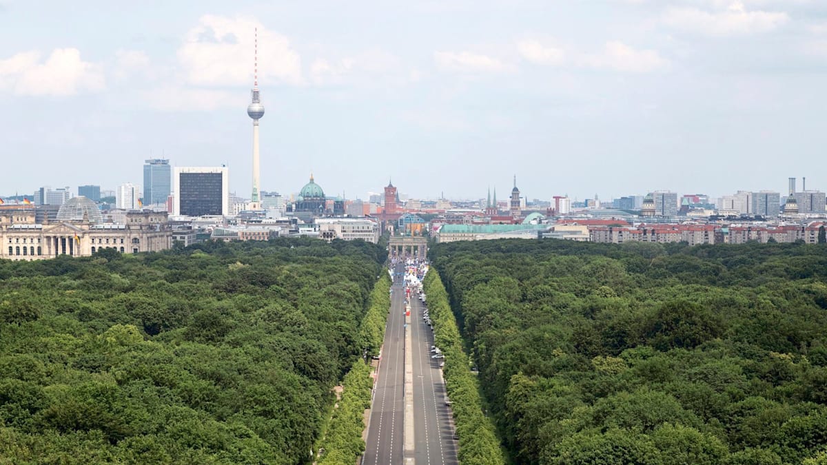 Berlin: „Absoluter Witz“ – Hauptstadt will Milliarden aus Sondervermögen für mehr Bäume einsetzen