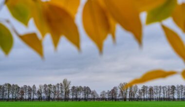 Milderes Wetter zum Wochenende für Berlin und Brandenburg