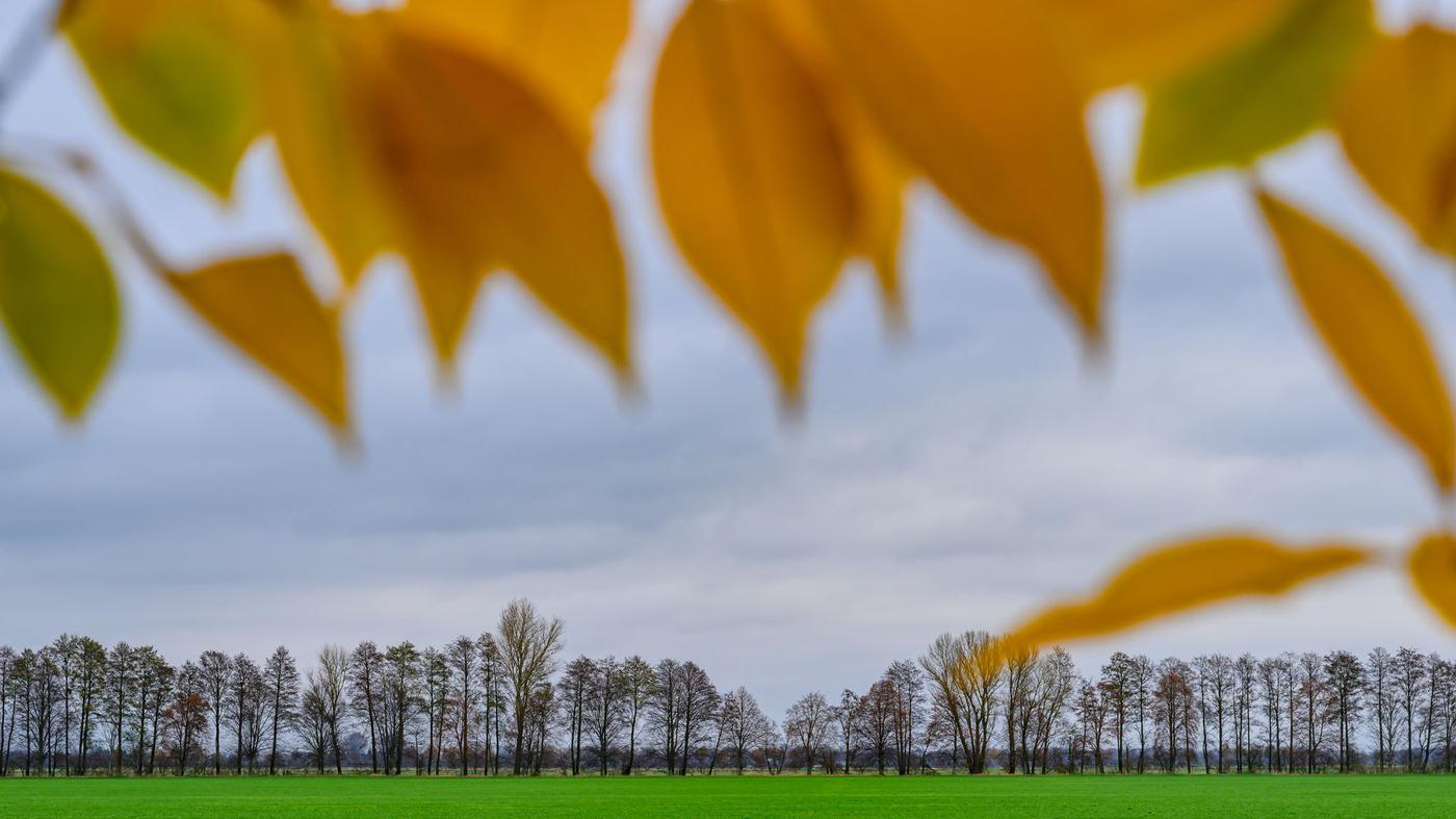 Milderes Wetter zum Wochenende für Berlin und Brandenburg