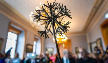 Krebshilfe und Japan-Küche: Preis für mutige Gründerinnen aus Leipzig und Dresden