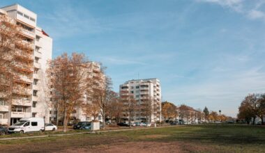 Die ersten Bäume werden gepflanzt