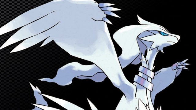 Schwarz-weiße Raritäten - Mit dem neuen Pokémon TCG-Set steigt das Sammelfieber