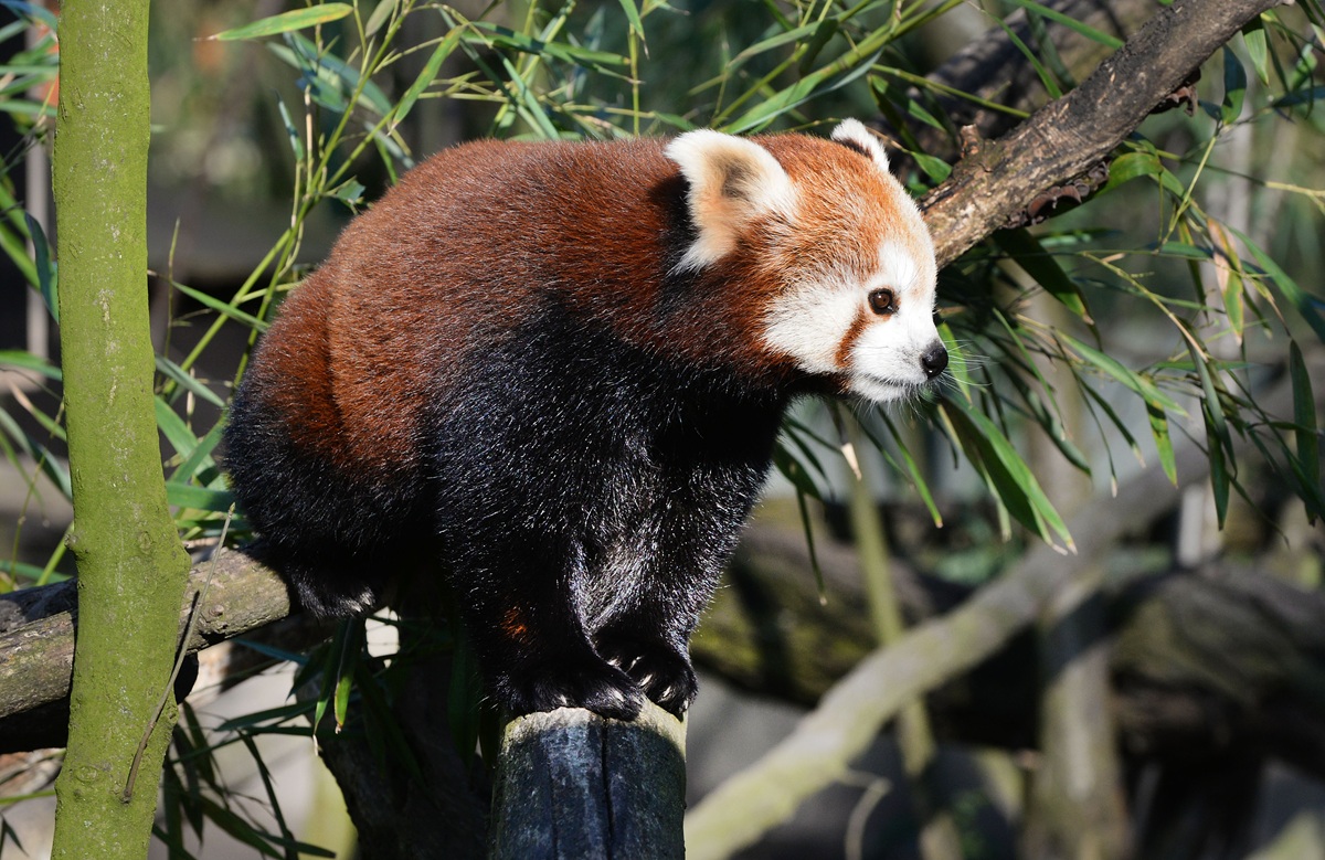 Todesnachricht aus Zoom Gelsenkirchen - Mitarbeiter hatten keine andere Wahl