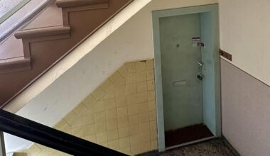 Ein Berliner Treppenhaus, drei vergessene Leichen