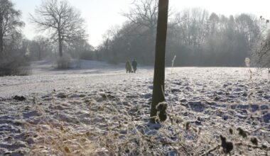 Sonniges und frostiges Wochenende – bis zu minus 8 Grad in der Nacht