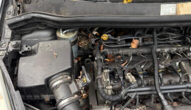 Feuerwehr Augsburg rettet vermisste Katze aus Motorraum eines Autos in Oberhausen