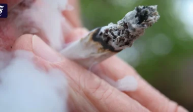 Nach Teillegalisierung: Cannabis-Konsums in Deutschland steigt laut Studie