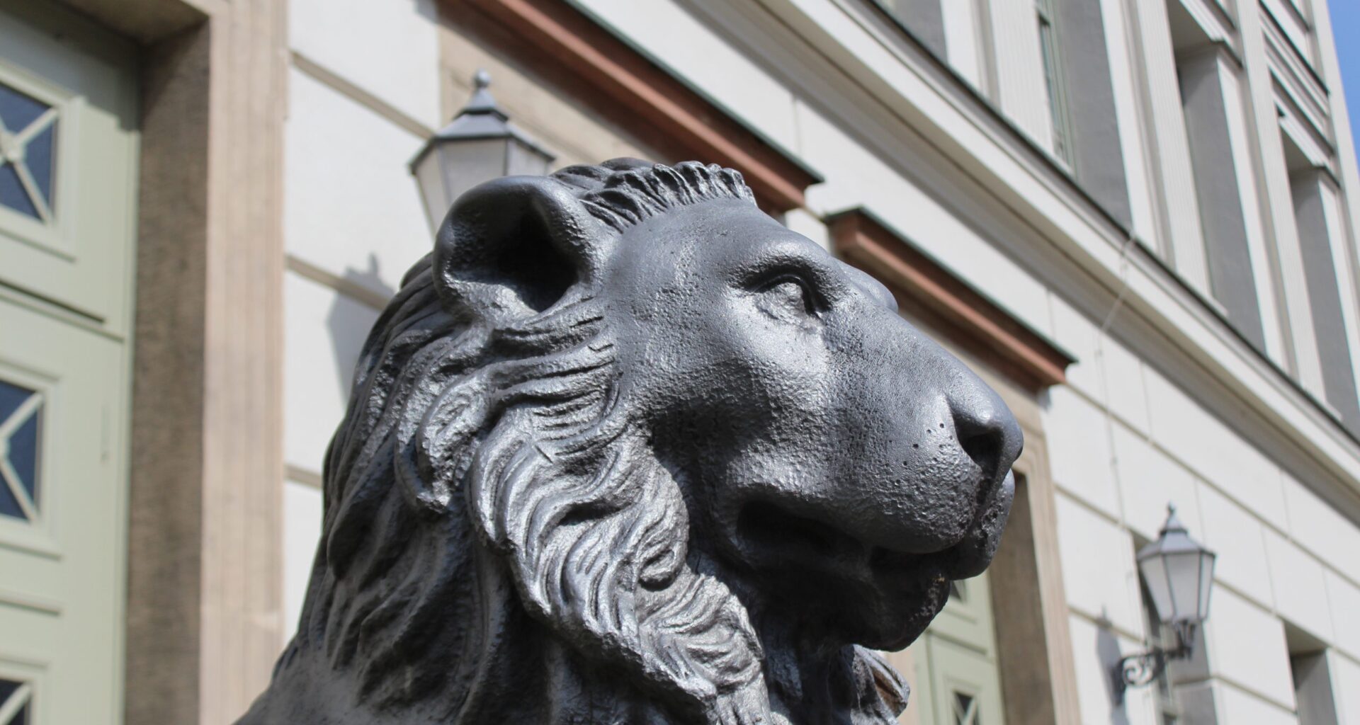 Forschende der MLU schalten schädliche Proteine in Tumorzellen aus