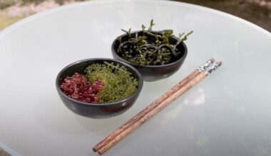 Gesund und nachhaltig: Warum wir mehr Algen essen sollten