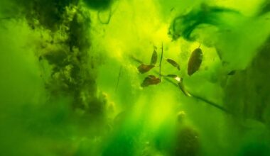 Leipzig: MdbK zeigt magische Landschaftsbilder von Hans-Christian Schink