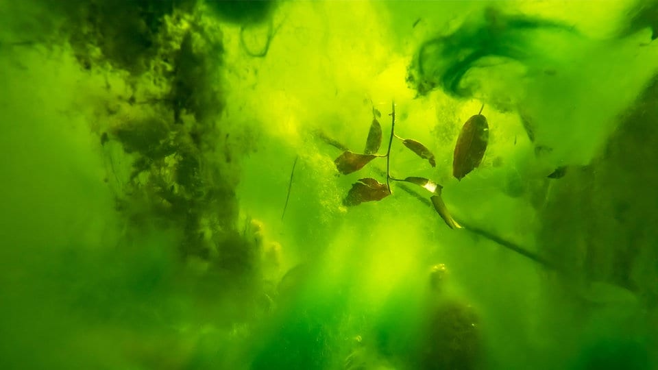 Leipzig: MdbK zeigt magische Landschaftsbilder von Hans-Christian Schink