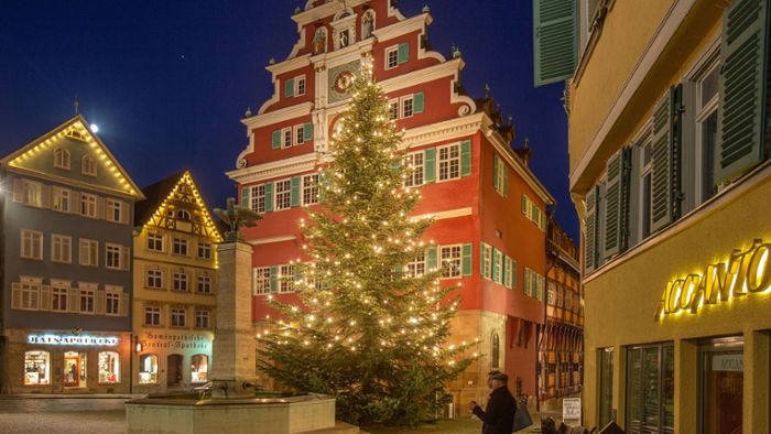 Vorweihnachtszeit in Esslingen: Bereit für den Advent: Wo in Esslingen Weihnachtsbäume stehen