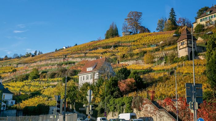 CDU über mögliche Steuer: Bekommt Esslingen ein Aussichtsplateau?