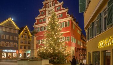 Vorweihnachtszeit in Esslingen: Bereit für den Advent: Wo in Esslingen Weihnachtsbäume stehen - Esslingen