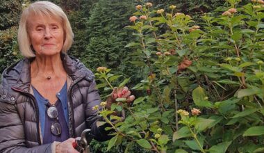 Garten winterfest machen: Esslinger Paar rät zu Gelassenheit: „Wir schaffen, was wir können“ - Esslingen