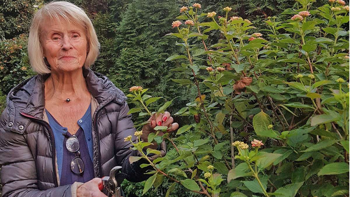 Garten winterfest machen: Esslinger Paar rät zu Gelassenheit: „Wir schaffen, was wir können“ - Esslingen