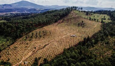 Dokumentarfilm in Schwenningen: Wenn das Katastrophen-Szenario Realität wird - Villingen-Schwenningen & Umgebung