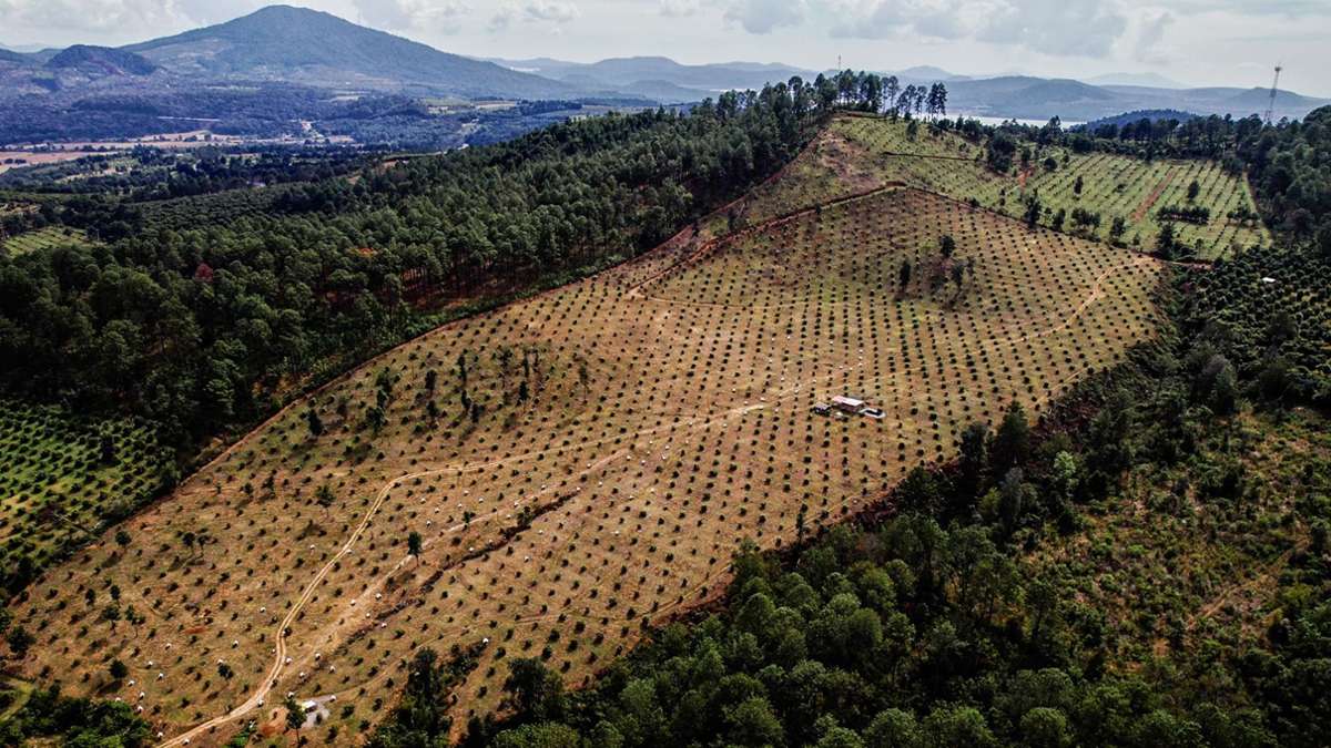 Dokumentarfilm in Schwenningen: Wenn das Katastrophen-Szenario Realität wird - Villingen-Schwenningen & Umgebung