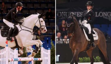 Reitturnier in Stuttgart: Das unbekannte Wesen? Von wegen! Warum Top-Pferde auch Charakterköpfe sind - Sport