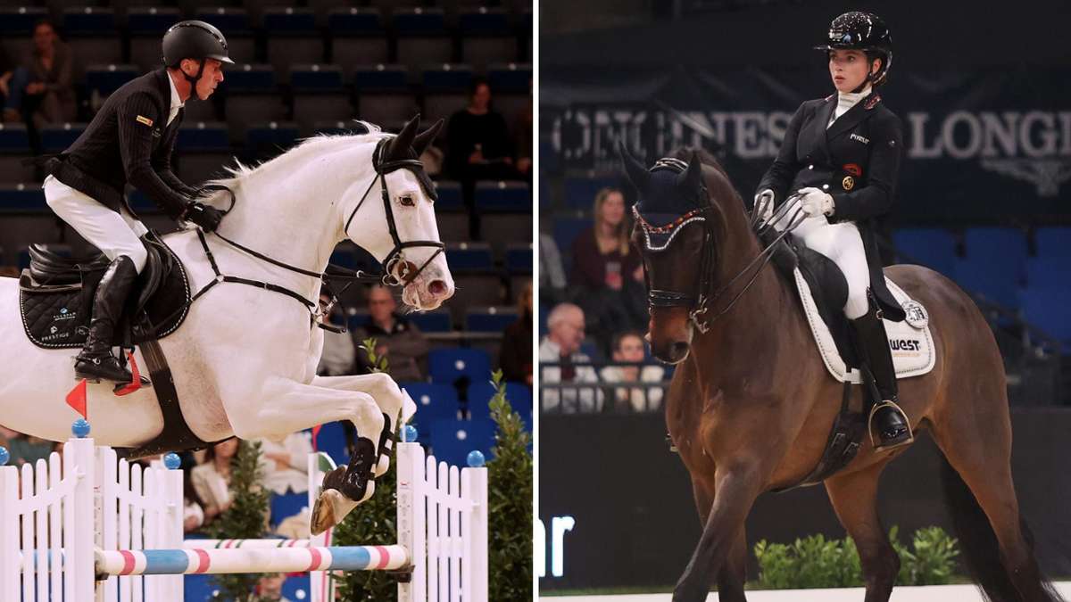 Reitturnier in Stuttgart: Das unbekannte Wesen? Von wegen! Warum Top-Pferde auch Charakterköpfe sind - Sport