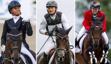 Reitturnier in Stuttgart: Treffen der Olympiasieger in der Schleyerhalle - Sport
