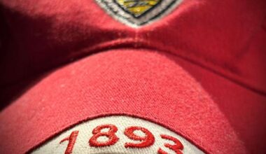 Graffiti in Fellbach und Waiblingen: Liebeserklärung mit hohen Nebenkosten: „1893“ auf Unterstandshütte