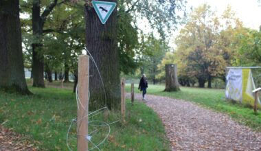 Naturschutzgebiet in Stuttgart: Bewegung im Streit um Zäune im Eichenhain – das ist geplant in Sillenbuch - Startseite