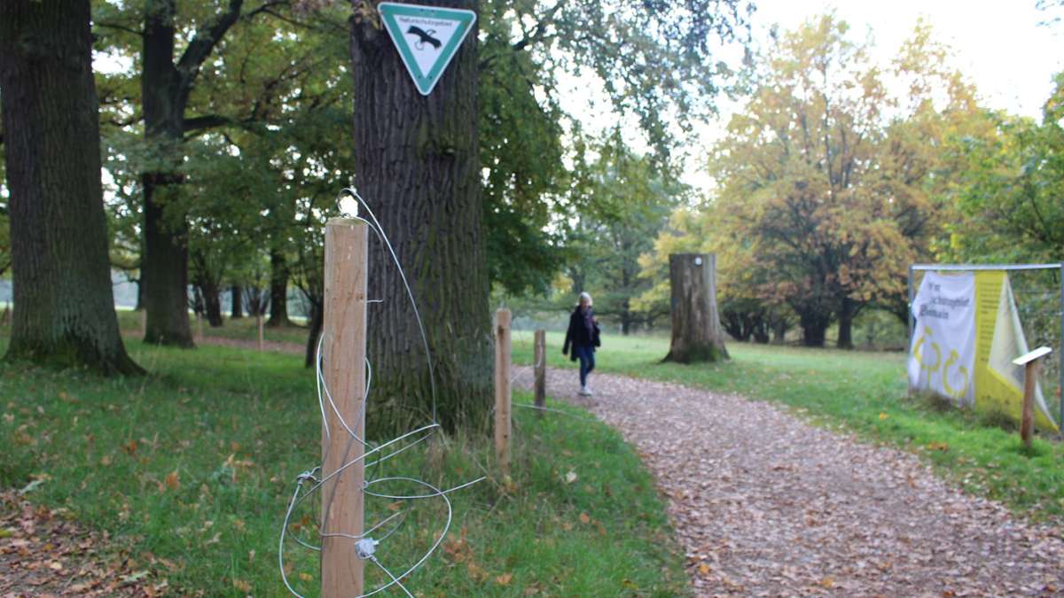 Naturschutzgebiet in Stuttgart: Bewegung im Streit um Zäune im Eichenhain – das ist geplant in Sillenbuch - Startseite