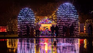 Christmas Garden Stuttgart ist eröffnet (Veranstaltung)
