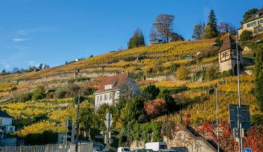 CDU über mögliche Steuer: Bekommt Esslingen ein Aussichtsplateau? - Esslingen