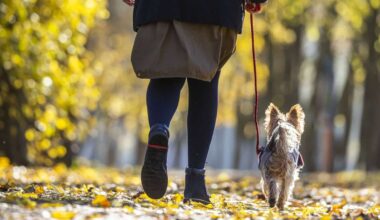 Klima in Stuttgart: 18 Grad – künftig typisches Novemberwetter?