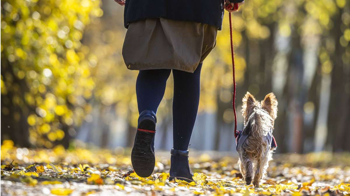 Klima in Stuttgart: 18 Grad – künftig typisches Novemberwetter?