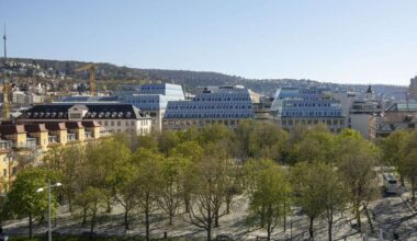 Klimawandel in Stuttgart: Stadt Stuttgart will zwei Millionen Euro für Bäume streichen