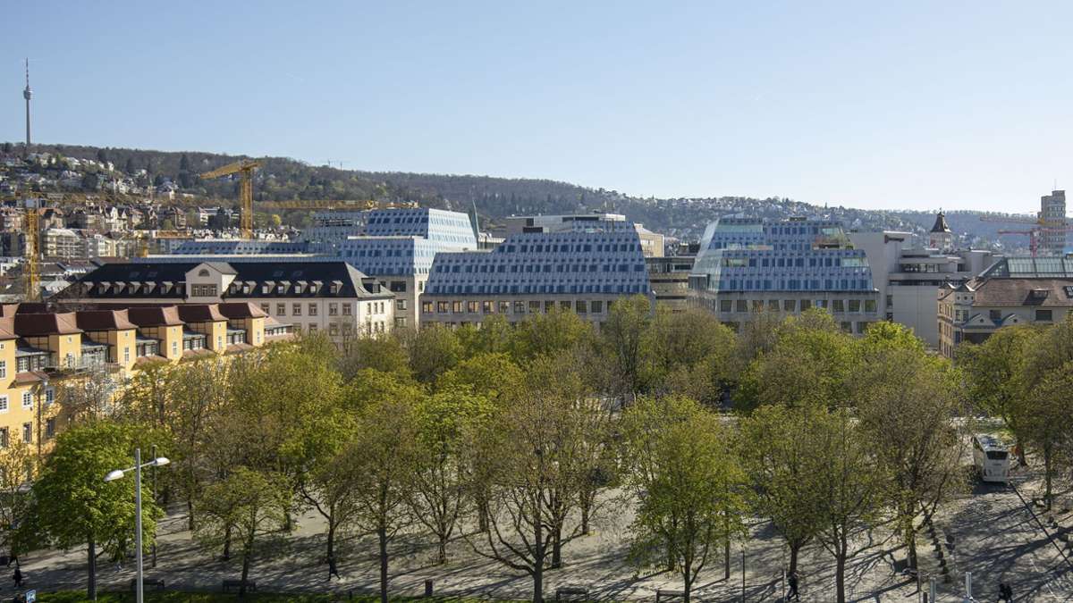 Klimawandel in Stuttgart: Stadt Stuttgart will zwei Millionen Euro für Bäume streichen