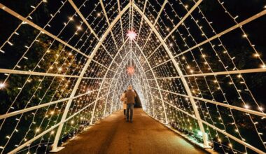 Christmas Garden in Stuttgart: Die Wilhelma leuchtet wieder