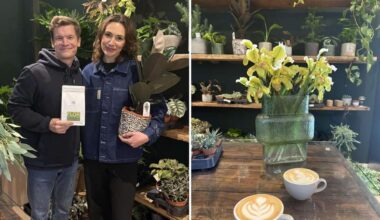 Neues Café in Stuttgart-Süd: „Das war wie ein Schicksalstreffen“: Flor vereint Pflanzen und Kaffee - KRZ Plus