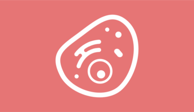 Neue Einblicke in die Zellbiologie der Malaria- und To …