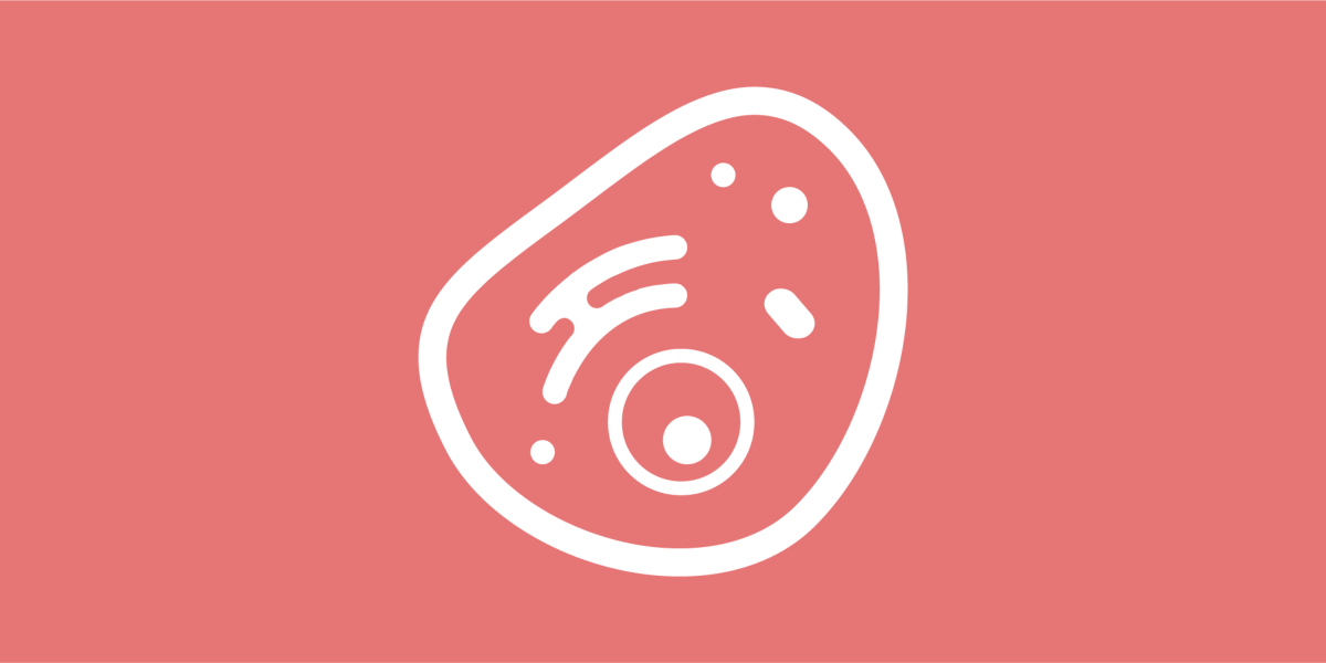 Neue Einblicke in die Zellbiologie der Malaria- und To …